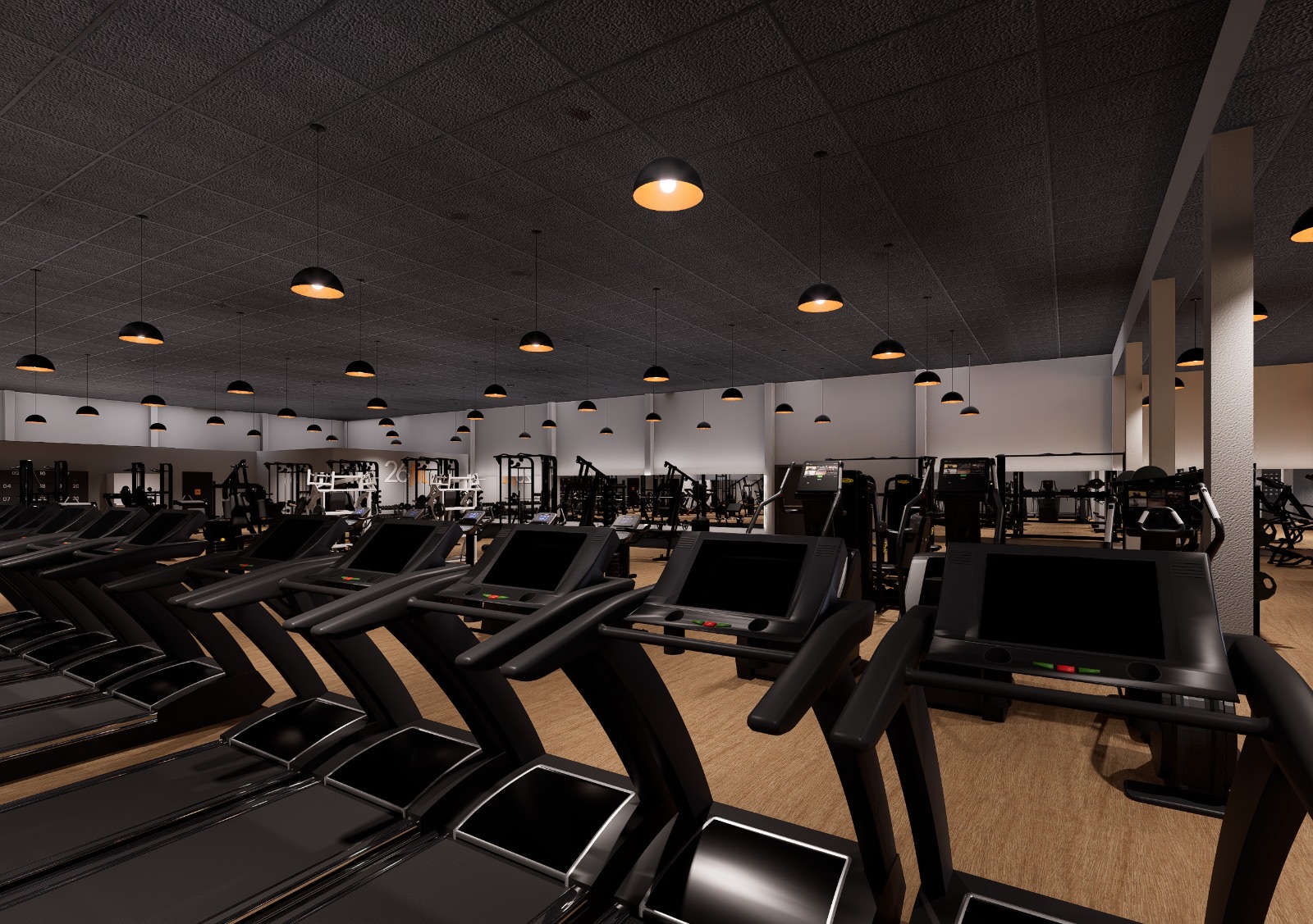 Área de cardio